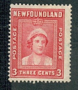 Newfoundland #246 used single - perf 13.5