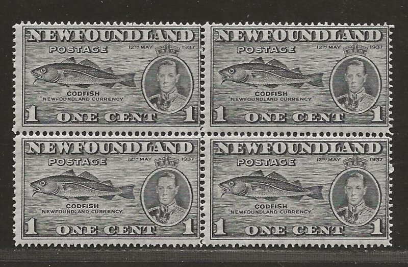 NEWFOUNDLAND  SC# 233 BLK/4  F/MNH