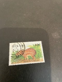 Belize sc 1120 u