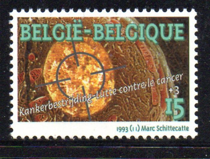 Belgium Sc B1110 1993 Cancer stamp mint NH