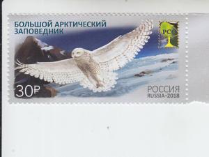 2018 Russia Nature Reserve - Snowy Owl (Scott 7902) MNH