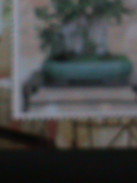 ​CHINA-CHINESE CULTURE DECORATION-BONSAI ARTS -MNH-S/S VERY FINE-LAST ONE