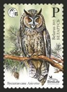 Belorussia Belarus 2015 Bird of the year Long-eared Owl (Asio otus) Stamp MNH