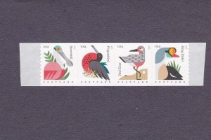 Coil Strip (4) 34c Coastal Birds SA US 4995-4998, 4998a MNH Scott Order Tabs