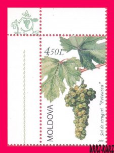 MOLDOVA 2010 Nature Flora Plants Fruits Grape Feteasca White 1v Mi 716 MNH