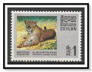 Ceylon #442 Leopard MNH