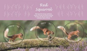 Nevis 2018 - Red Squirrels - Sheet of 3 Stamps - Scott #1943 - MNH