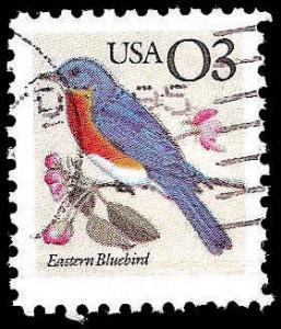 # 2478 USED EASTERN BLUEBIRD