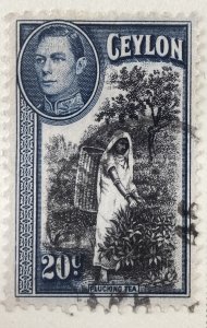 AlexStamps CEYLON #283 XF Used 