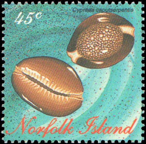 Norfolk Islands #602-605, Complete Set(4), 1996, Seashells, Never Hinged