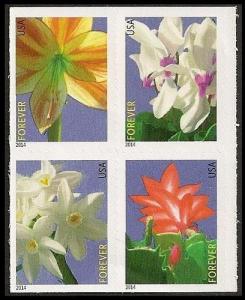 US 4862-4865 4865a Winter Flowers F block 4 MNH 2014