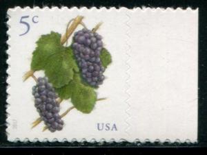 5177 US 5c Grapes SA, MNH