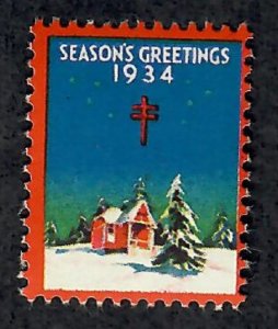 Christmas Seal from 1934 MNH Single