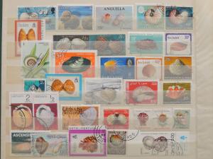 YS-J197 MARINE LIFE - Ascension Island, Grenada, Togo USED