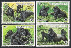 Rwanda 1208-1211, hinged. Michel 1292-1295. WWF 1985. Gorilla Beringei.