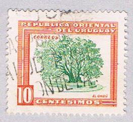 Uruguay 612 Used Ombu tree 1954 (BP26617)