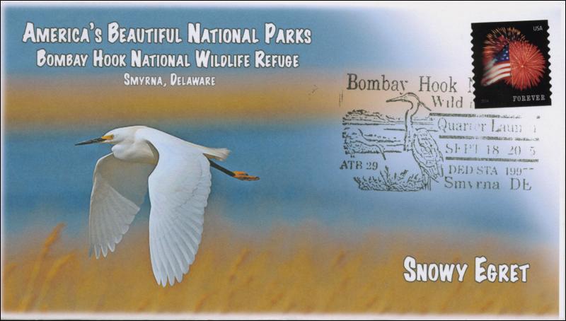 2015, Bombay Hook NWR, America's Beautiful NP, Pictorial, Snowy Egret, 15-235