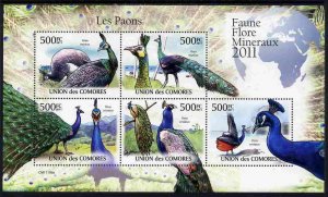 COMORO ISLANDS - 2011 - Peacocks - Perf 5v Sheet - MNH - Private Issue