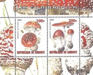 Djibouti 2009 Champignons Plants Mushrooms Fungi Nature M/S Stamps MNH (3)