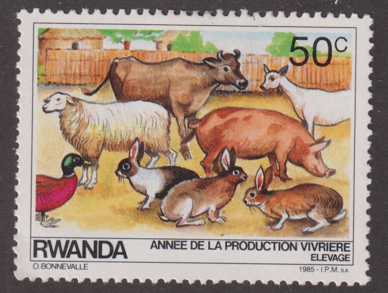 Rwanda 1215 Animal Husbandry 1985