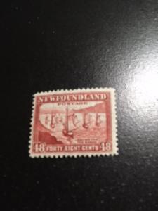 Newfoundland sc 199 MNH