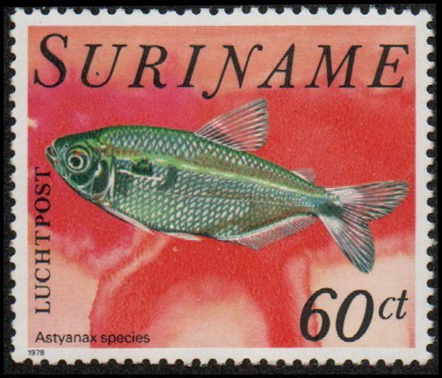 Suriname C85 - Mint-NH - 60c Astyanax Fish (1978) (cv $1.05)
