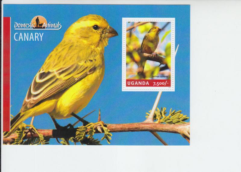 2014 Uganda Canaries SS (Scott 2148) MNH