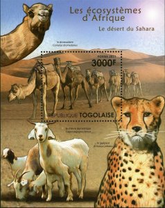 Fauna of the Sahara Desert Stamp Acinonyx Jubatus S/S MNH #4217 / Bl.636