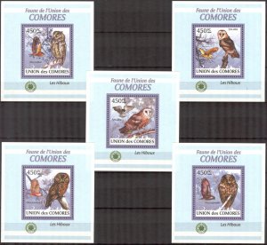 {325} Comoros 2009 Birds Owls 5 S/S Deluxe MNH**