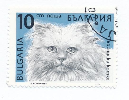Bulgaria 1989  Scott 3513 used - 10s, Cats 