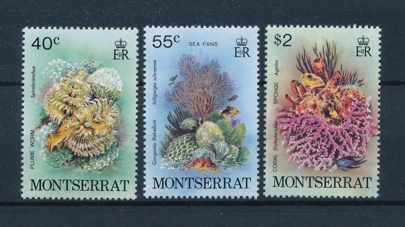 [49506] Montserrat 1979 Marine life fine corals worm  MNH