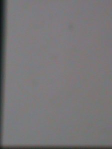 ​CHINA-ANCIENT CLASSIC WATER COLOR-LOVELY BIRDS PAINTINGS MNH S/S VERY FINE