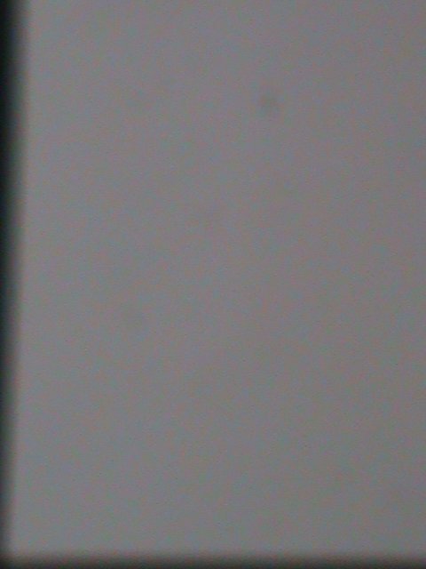 ​CHINA-ANCIENT CLASSIC WATER COLOR-LOVELY BIRDS PAINTINGS MNH S/S VERY FINE