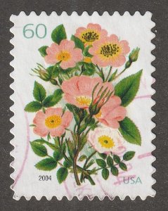 USA, Stamp, Scott#3837, used, hinged,  60 cents,  Pink Rose's,