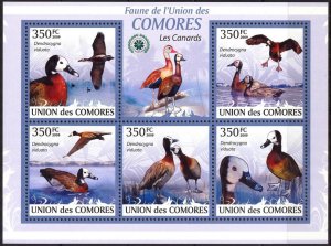 Comoro Islands 2009 Birds (2) Ducks Sheet MNH