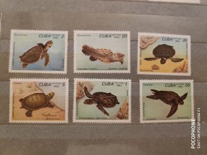 1983	Cuba	turtles (F4)