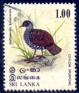 Bird, Ceylon Spurfowl, Sri Lanka stamp SC#567 used