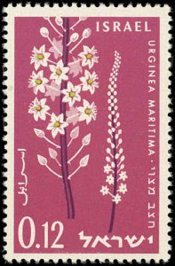 ISRAEL Sc 205 F-VF/USED - 1961 12a  Urginea; Sea Onion