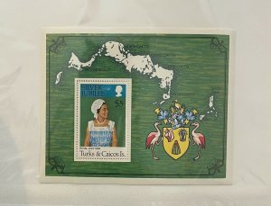 Souvenir Sheet Turks & Caicos Scott #324 nh