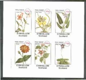 Eynhallow 1982 Flowers #27 (Crane's Bill, Wall-Flower, Po...