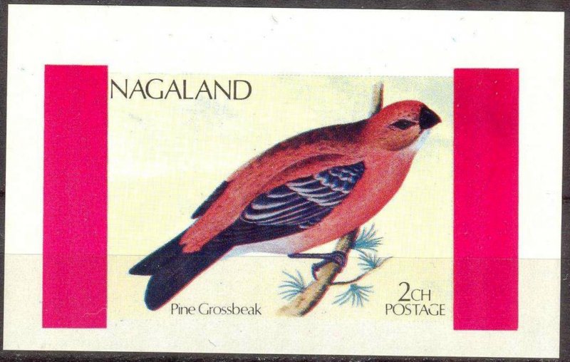 Nagaland Birds (1) Pine Grossbeak S/S MNH