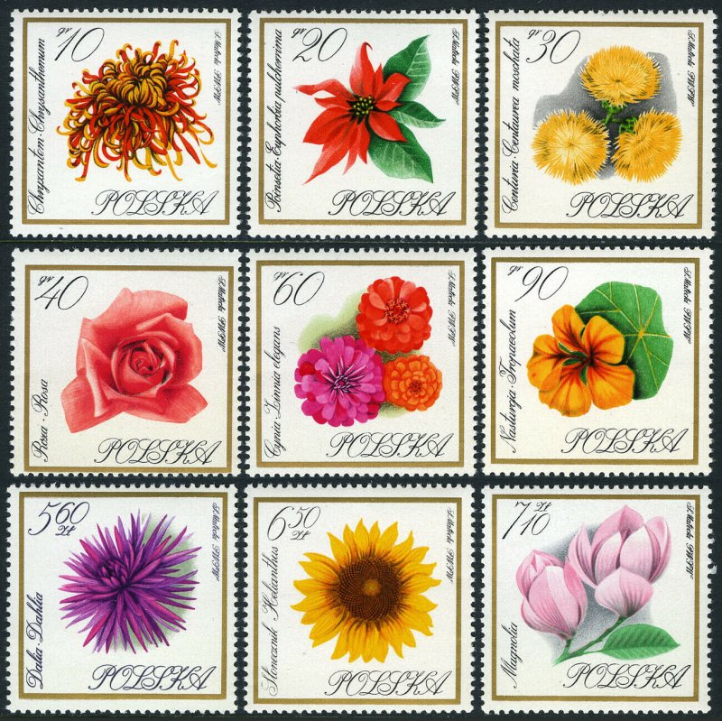 Poland 1430-1438, MNH. Flowers.Chrysanthemum, Poinsettia, Centaury, Rose, 1966