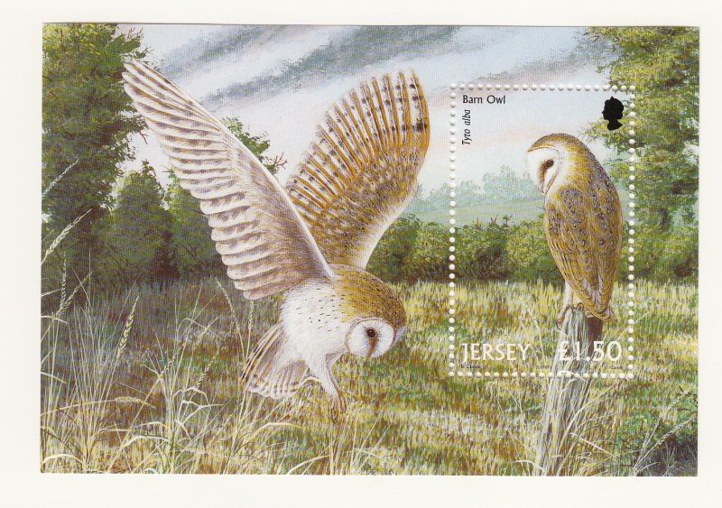 Jersey 2001 Birds of Prey M/Sheet-  NHM