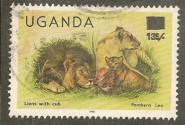 Uganda      Scott  387      Lions, Fauna       Used