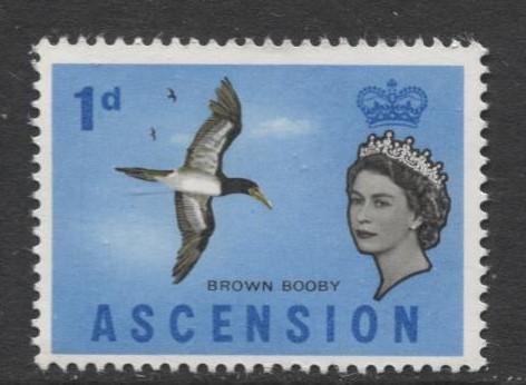 ASCENSION- Scott 75 - Bird - Brown Booby -1963 - MNH - Single 1d Stamp