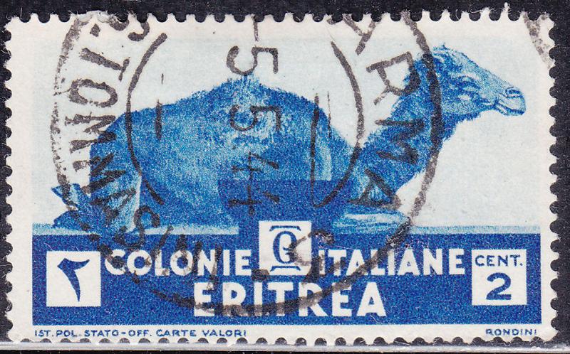 Eritrea 158  Camel Sitting 1934