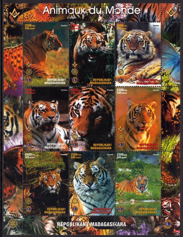 MADAGSCAR WILD ANIMALS ANIMAUX SAUVAGES WILDE TIERE