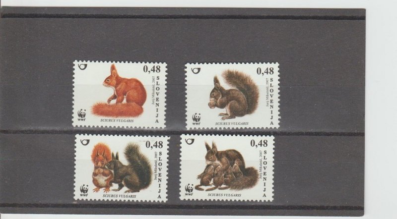 Slovenia  Scott#  714-717  MNH  (2007  Red Squirrel)