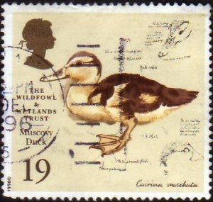 Great Britain 1996 Sc#1653, SG#1715 19p  Muscovy Duck USED.