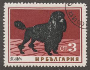 Bulgaria 1350 Dogs 1964